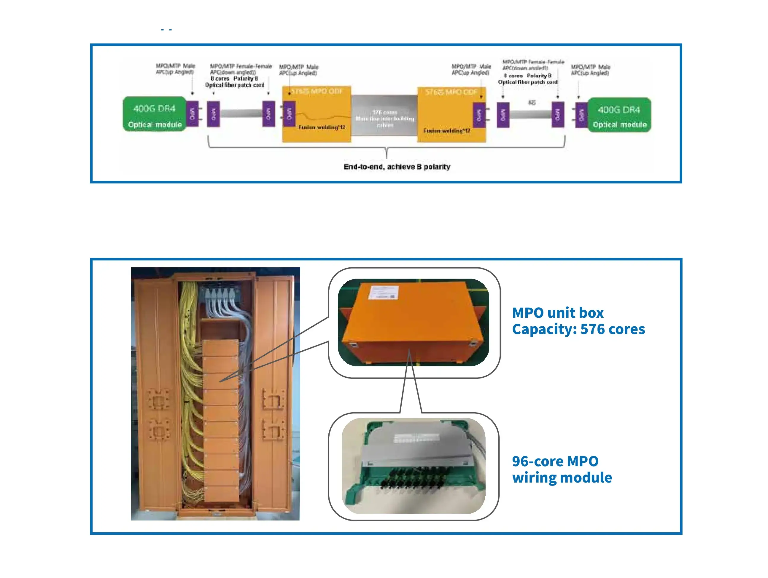 MPO wiring module and capacity details